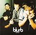 Blurb Interview