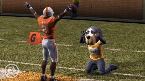 NCAA Football 10 image