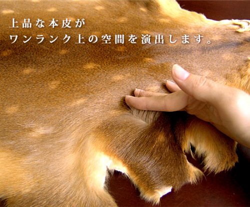 Cover image : Deer Skin Real Leather [S] 鹿皮