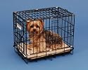 Great Crate - Mini 1000