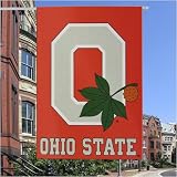 Ohio State Buckeyes 28" x 40" Collegiate Banner Flag