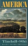 America : a narrative history