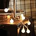 Innoo Tech 100 LED Globe String Lights Globe, Warm White