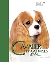 Best Breed Cavalier King Charles Spaniel - an Experts Guide