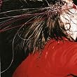 Penance Soiree