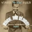 Rock,Mr.Blues!