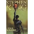 La Tour Sombre, Tome 8 :