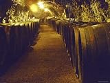 Wine Cellar with Tunnels of Wooden Barrels and Tokaj Wine, Royal Tokaji Wine Company, Mad, Hungary Places Photographic Poster Print by Per Karlsson, 40x30