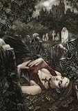 Favole Midnight 1000 Teile - 