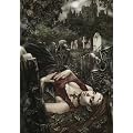 Heye Jigsaw Puzzle 1000 Pieces - Fables Midnight (Victoria Franc�s)
