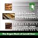 The Organ Music of Gerald Near