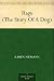 Rags (The Story Of A Dog)