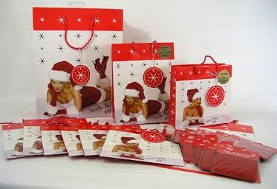 Sexy Santa Baby Gift Bag Holiday Wishes Set Christmas Naughty Elf