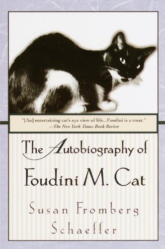 The Autobiography of Foudini M. Cat
