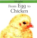 From Egg to Chicken (Lifecycles)