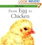 From Egg to Chicken (Lifecycles)