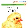 From Egg to Chicken (Lifecycles)