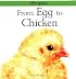 From Egg to Chicken (Lifecycles)