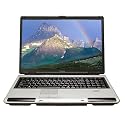 Toshiba Satellite P105-S6207 17" Widescreen Laptop (Intel Core Duo Processor T5500, 2 GB RAM, 200 GB Hard Drive, SuperMulti DVD Drive, Vista Premium)