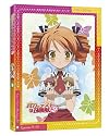 バカとテストと召喚獣にっ！　第5巻 [Blu-ray]