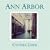 Ann Arbor: Hand-Altered Polaroid Photographs