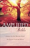 Amplified Bible
