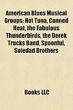American Blues Musical Groups: Hot Tuna, Canned Heat, the Fabulous Thunderbirds, the Derek Trucks Band, Spoonful, Soledad Brothers