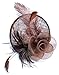 Womens Feather Mesh Fascinator Hat with Headband Brown