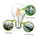 SUNMEG A19 6W LED Filament Light Bulb Dimmable, Replacement to 60w Incandescent Bulbs, 600 Lumens, E26 Medium Base, Warm White (2700K), 120VAC, (1- Pack)