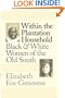 Within the Plantation Household: Black and White Women of the Old South (Gender and American Culture)
