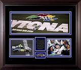 Jimmie Johnson Limited Edition 8" x 20" Framed Panoramic Poster w/ Race Used Daytona Track