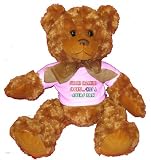 Support Organized Sports Kiss A 49ers Fan Plush Teddy Bear with WHITE T-Shirt