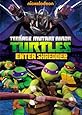 Teenage Mutant Ninja Turtles: Enter Shredder