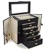 Kendal Huge Leather Jewelry Box/Case/Storage LJC-SHD5BK (Black)