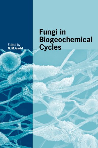Fungi in Biogeochemical Cycles (British Mycological Society Symposia)