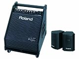 Roland PM-30 Powered Speaker Cabinet, Black