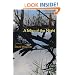 A Map of the Night (Illinois Poetry Series)