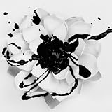 White Lotus by INgrooves 【並行輸入品】