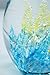 Tripact Inc M Design Art Handcraft Bubbling Blue and Yellow Coral in Egg Paperweight PW-633 [Kitchen]