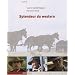 Splendeur du western