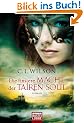 Die finstere Macht der Tairen Soul: Roman