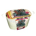 Christmas Gifts For Dad- Indoor Chilli Planter