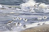 Beach Ocean Cottage Door Mat Area Rug Indoor Outdoor