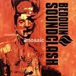 Sounding A Mozaic
