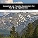 Book Accounting and Financial Fundamentals For Your E-bay Tips Business