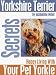 yorkshire terrier - Yorkshire Terrier Secrets