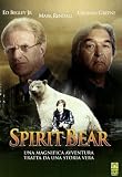 Spirit Bear