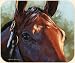 Fiddlers Elbow - Bay Horse Mouse Pad by Adeline Halvorson