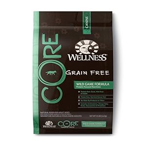 Wellness CORE Natural Grain Free Dry Dog Food, Wild Game Duck, Turkey, Boar & Rabbit, 12-Pound Bag