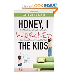 Honey, I Wrecked the Kids: When Yelling, Screaming, Threats, Bribes, Timeouts, Sticker Charts and Removing Privileges All Don't Work